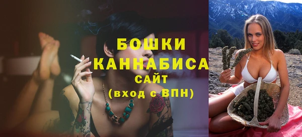 индика Зеленокумск