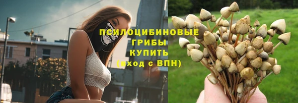индика Зеленокумск
