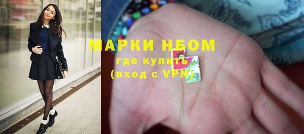 индика Зеленокумск