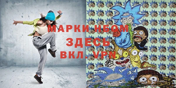 индика Зеленокумск