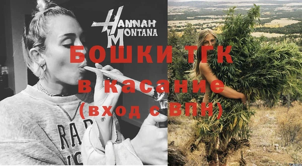 индика Зеленокумск