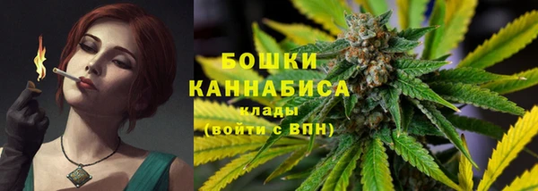 индика Зеленокумск