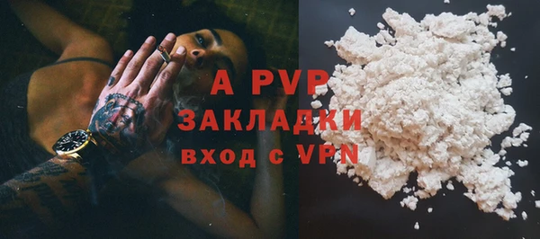 индика Зеленокумск
