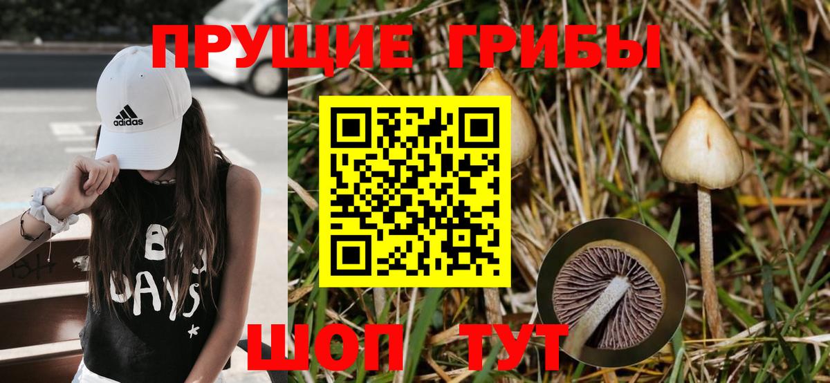 Псилоцибиновые грибы мухоморы Магнитогорск