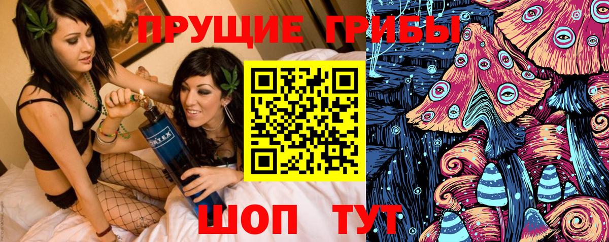 Псилоцибиновые грибы MAGIC MUSHROOMS  Вход с VPN  Магнитогорск 